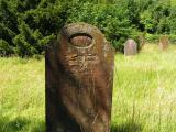 image of grave number 265042